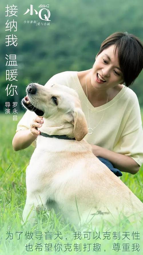 国外填表学历怎么填